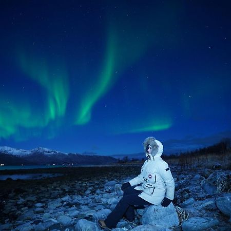 Arctic Rooms Rektor トロムソ エクステリア 写真