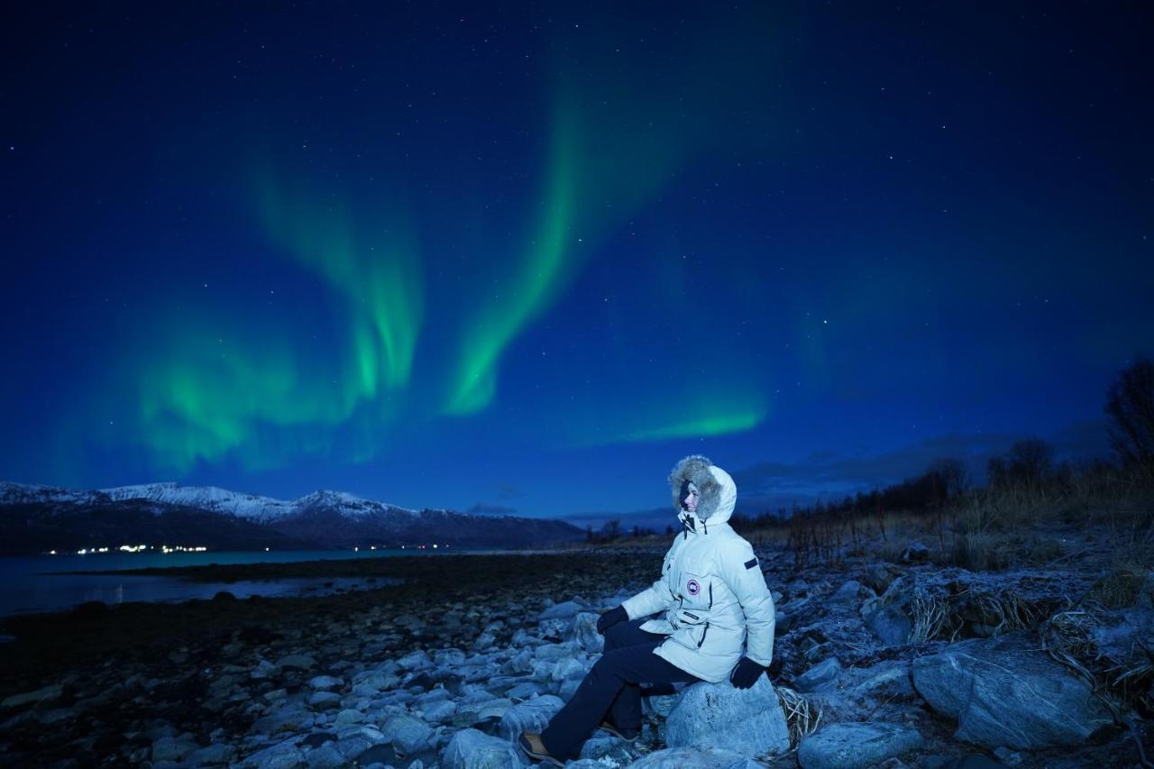Arctic Rooms Rektor トロムソ エクステリア 写真