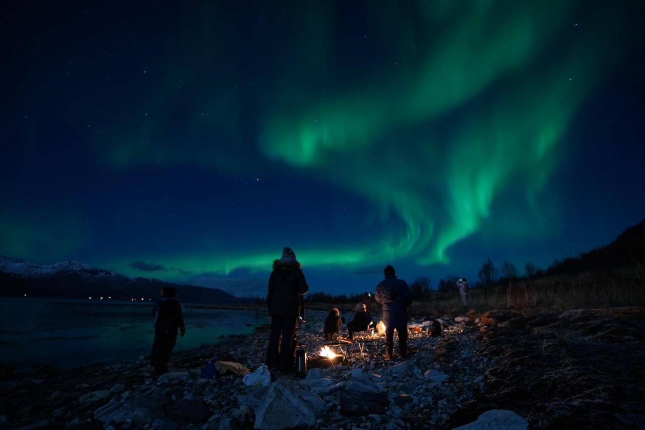 Arctic Rooms Rektor トロムソ エクステリア 写真